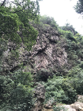 南海湾森林公园