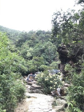 南海湾森林公园