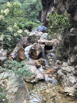 南海湾森林公园