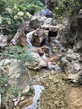 南海湾森林公园