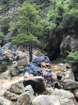南海湾森林公园