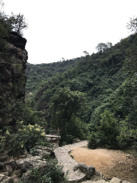 南海湾森林公园