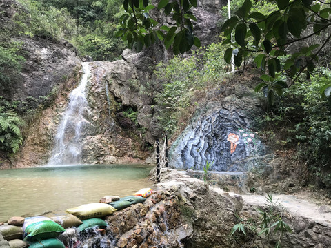 南海湾森林公园