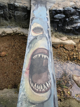 南海湾森林公园