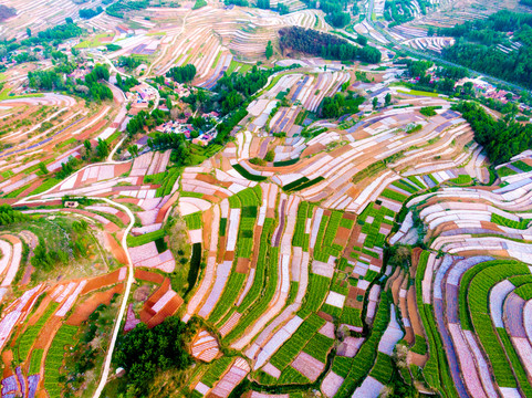 沂蒙山梯田