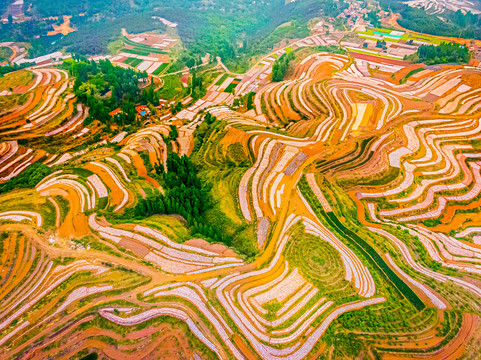 山东丘陵梯田