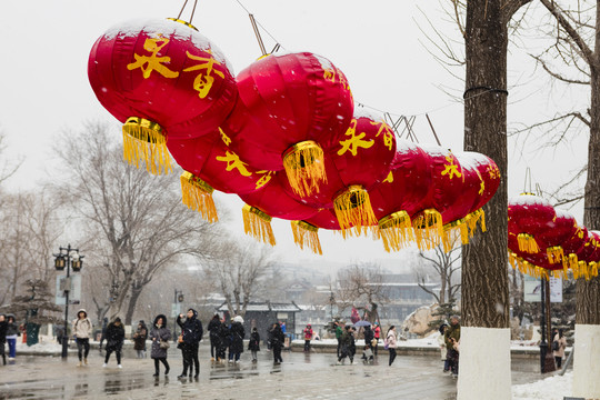 济南大明湖公园雪打灯