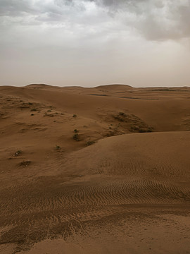 绵延的沙漠