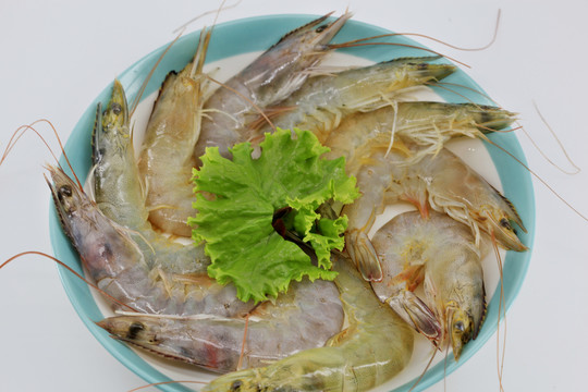 大虾