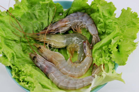 大虾