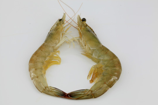 大虾