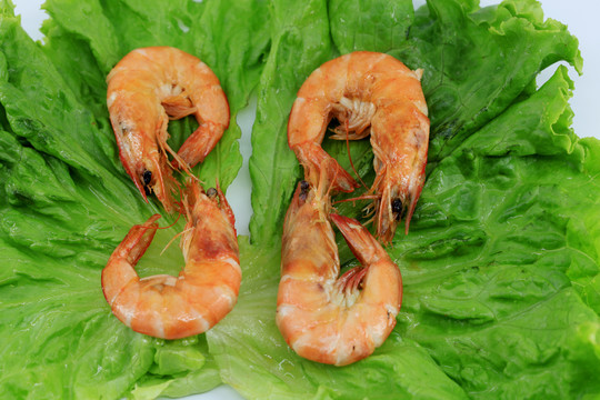 大虾