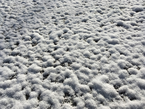 白雪特写