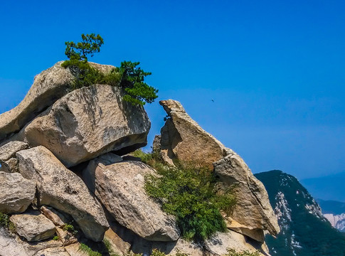 西岳华山