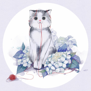 猫咪与花