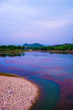 北京白浮泉遗址