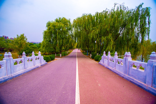 北京白浮泉遗址