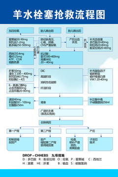 羊水栓塞抢救流程图