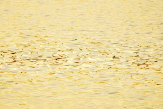 水波纹
