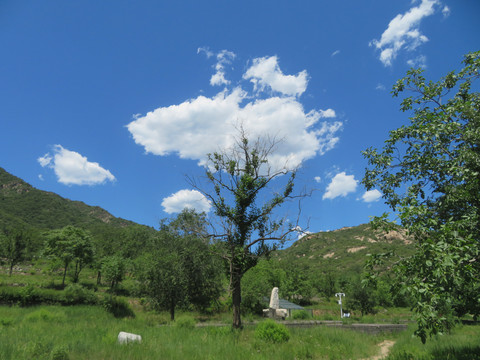 北京九龙山金陵遗址