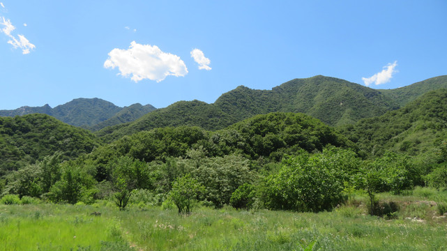 北京九龙山金陵遗址