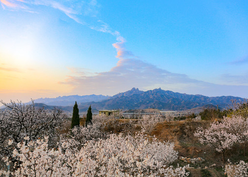 青岛崂山大崂樱桃谷