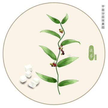 手绘茯苓