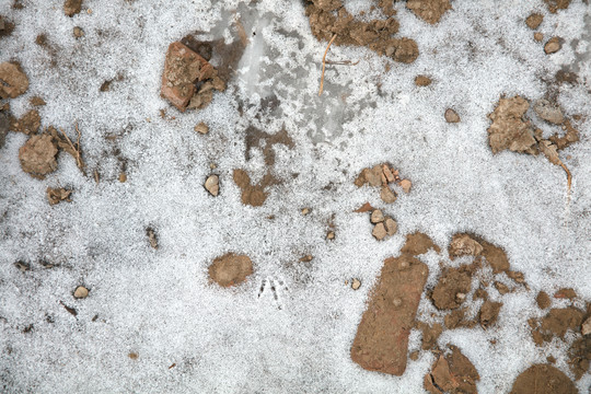 土地上遗留的残雪背景