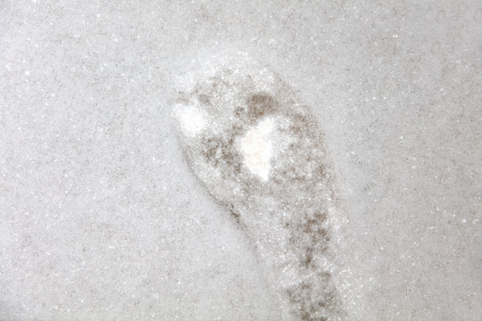 地面上刚下的雪和一个脚印