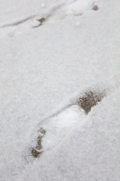 地面上一层薄雪和几个脚印