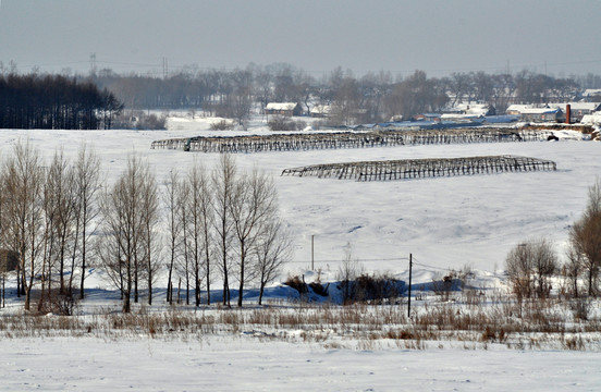 冬天的农村