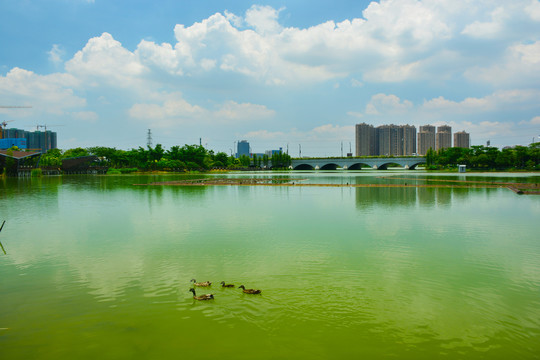 湖景