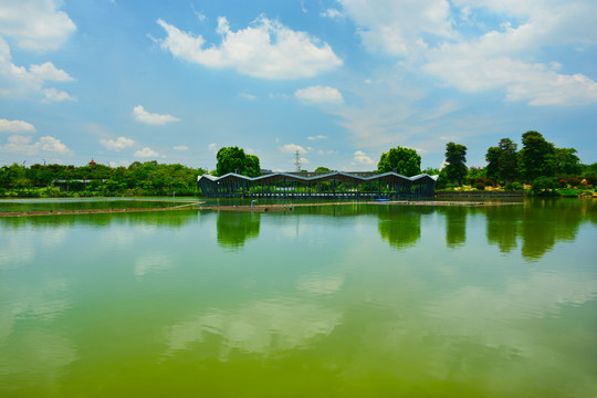 灯都生态湿地公园