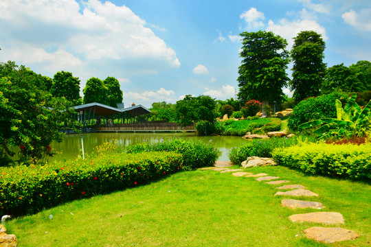 湿地公园风景