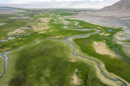 新疆喀什塔县塔合曼湿地
