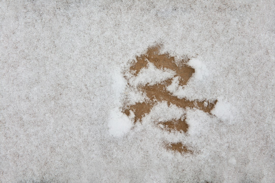 雪地上用汉字写的冬字