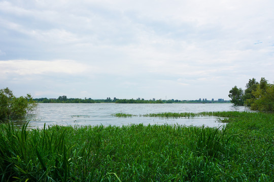 洛浦湿地公园