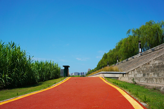 公园健康步道