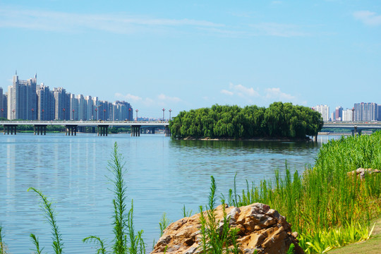 洛浦湿地公园