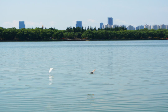 河岸风光