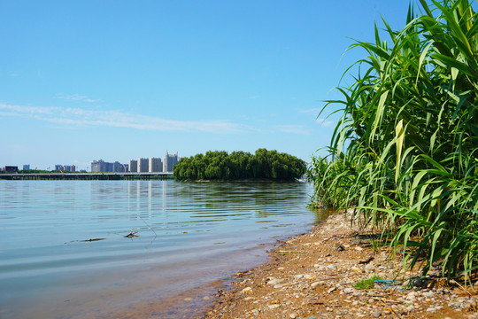 洛浦湿地公园