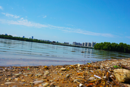 洛浦湿地公园