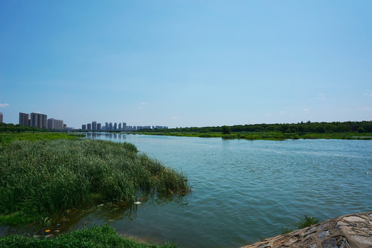 河岸美景
