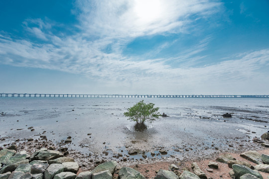 深圳西海湾城市风光