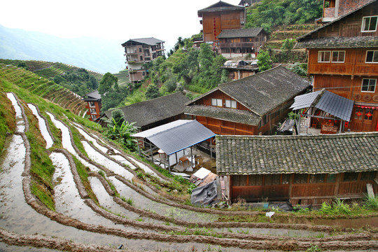 龙脊梯田