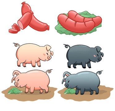 黑山猪黑猪肉插画
