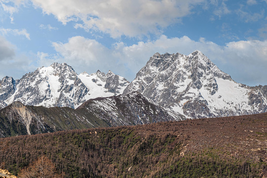 白马雪山