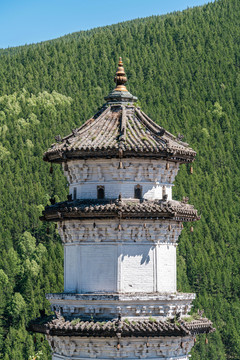 山西五台山寺庙佛塔建筑景观