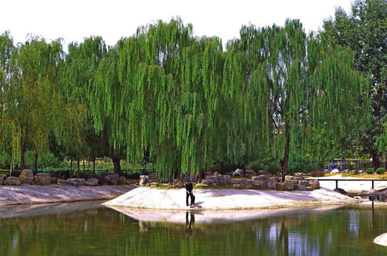 北京八里桥音乐主题公园