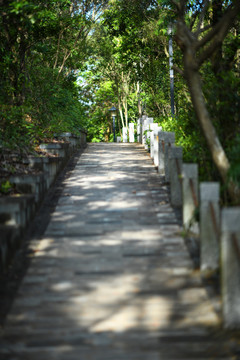 宁静的登山小道